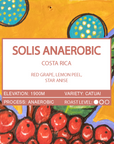 COSTA RICA - SOLIS ANAEROBIC