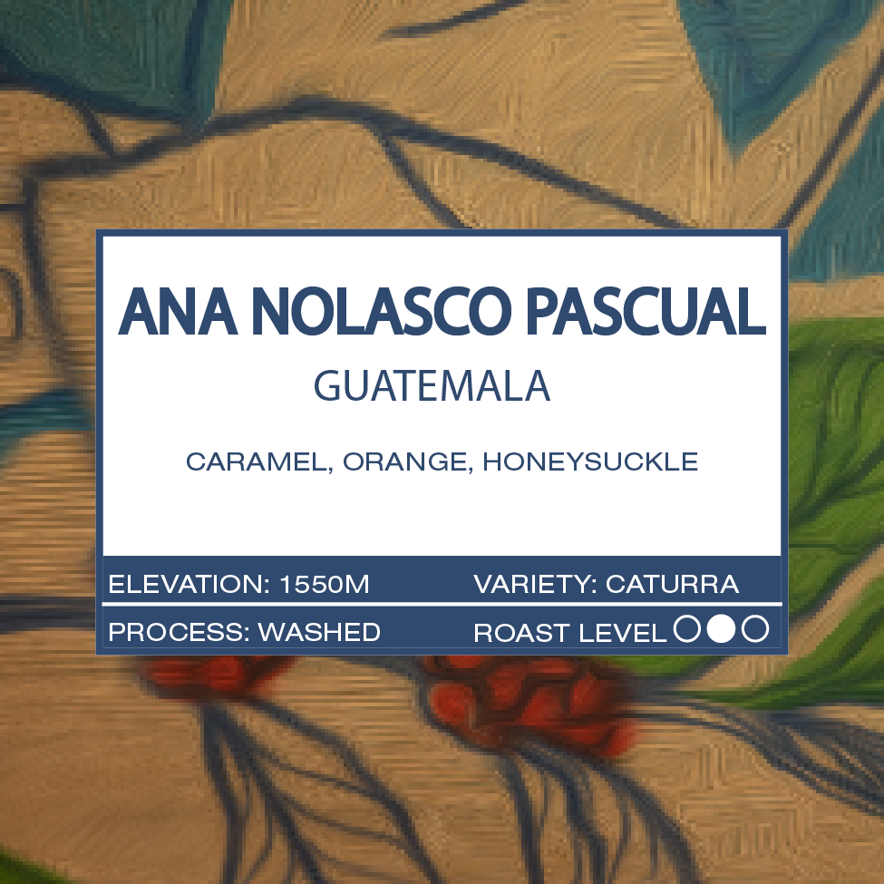 GUATEMALA - ANA NOLASCO PASCUAL