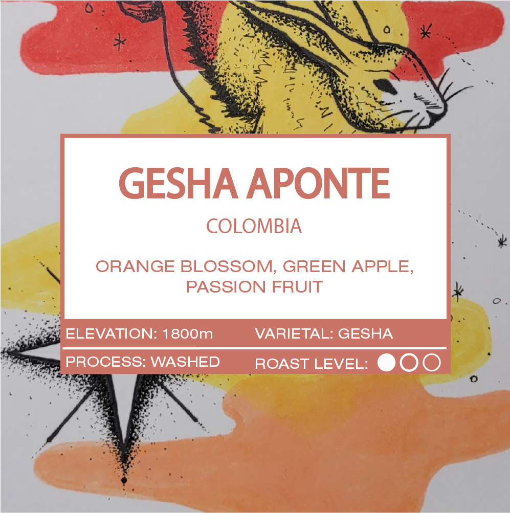 COLOMBIA - GESHA APONTE