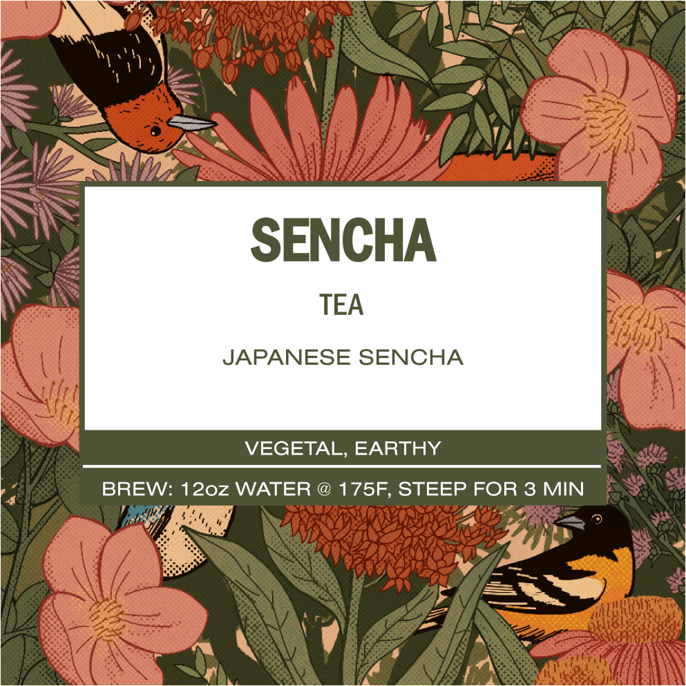 Sencha Tea