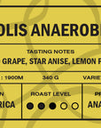 COSTA RICA - SOLIS ANAEROBIC